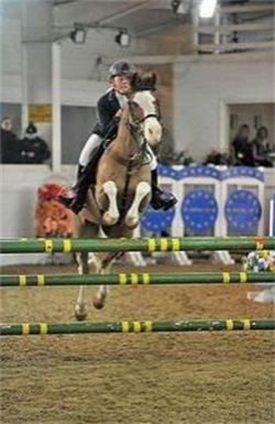 Abbie Taylor Pony Showjumper